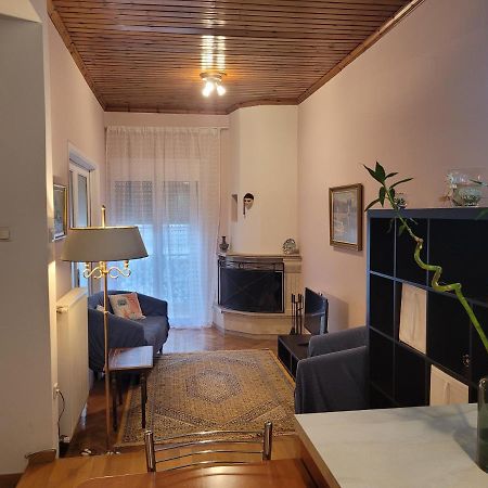 City Center Apartment Arta Bagian luar foto