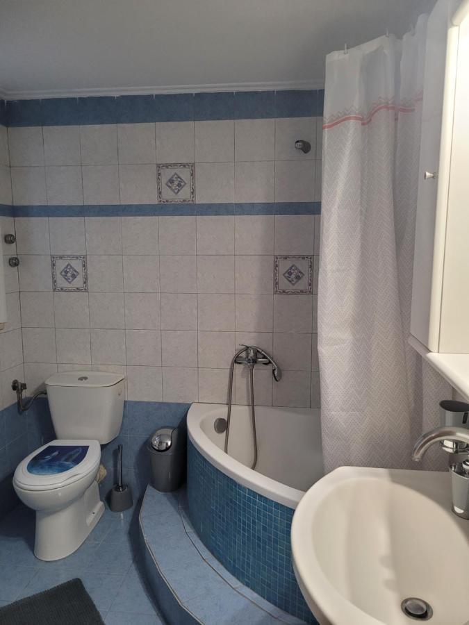 City Center Apartment Arta Bagian luar foto