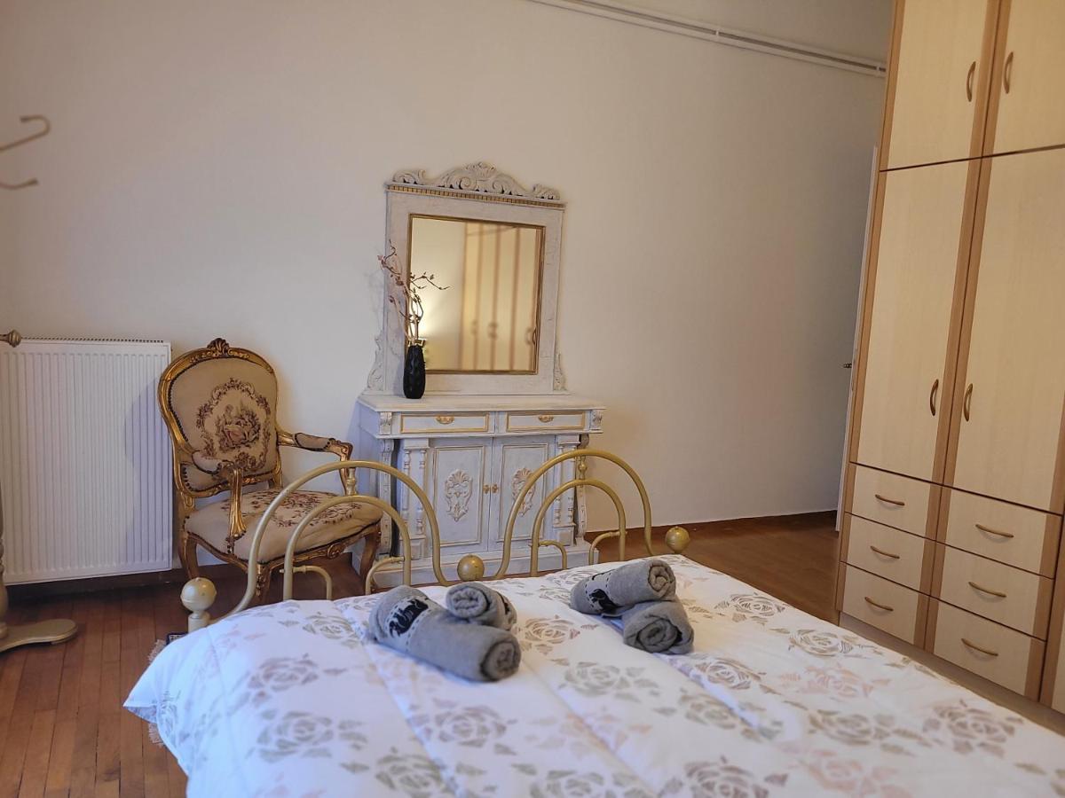 City Center Apartment Arta Bagian luar foto