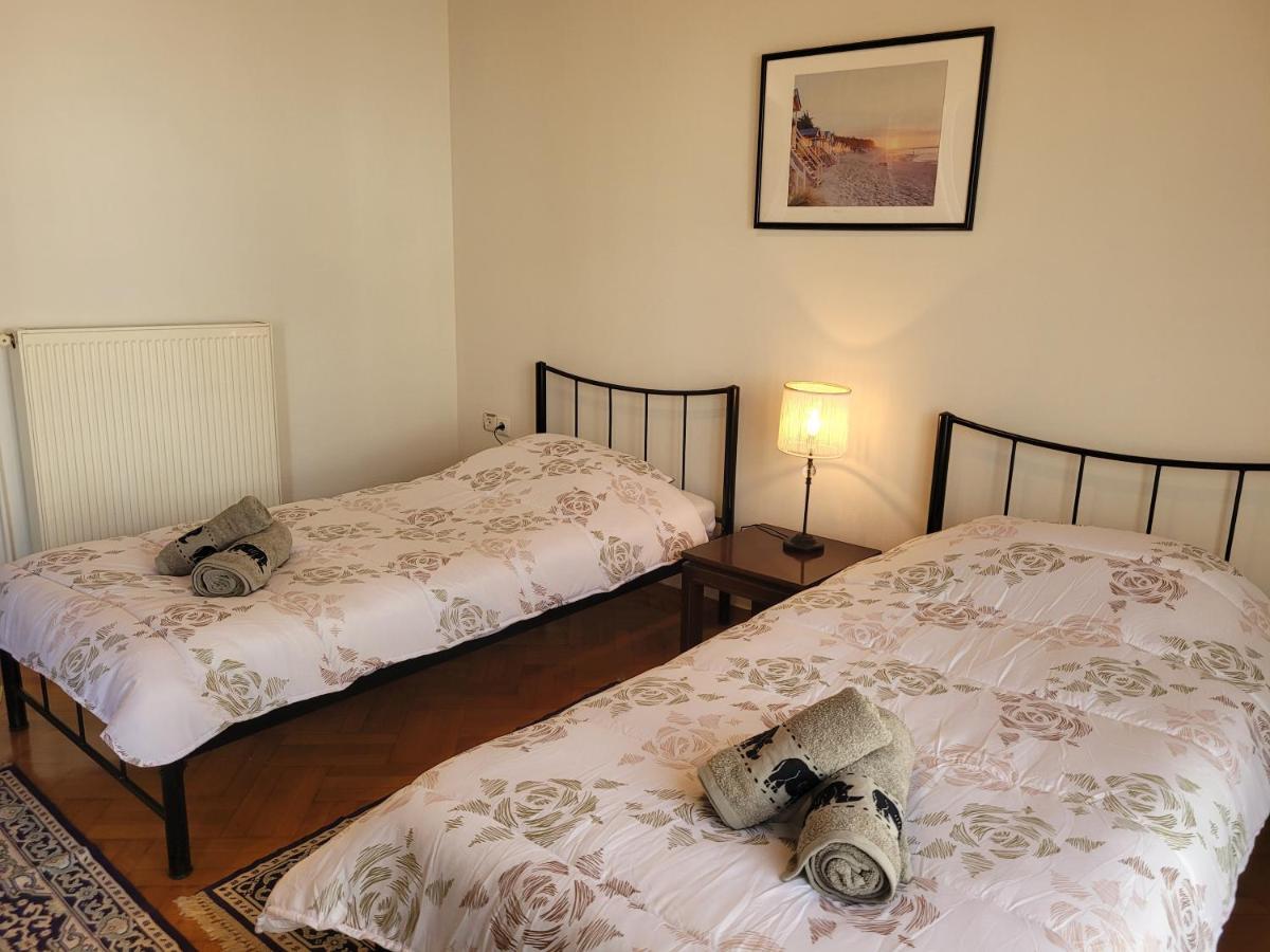 City Center Apartment Arta Bagian luar foto