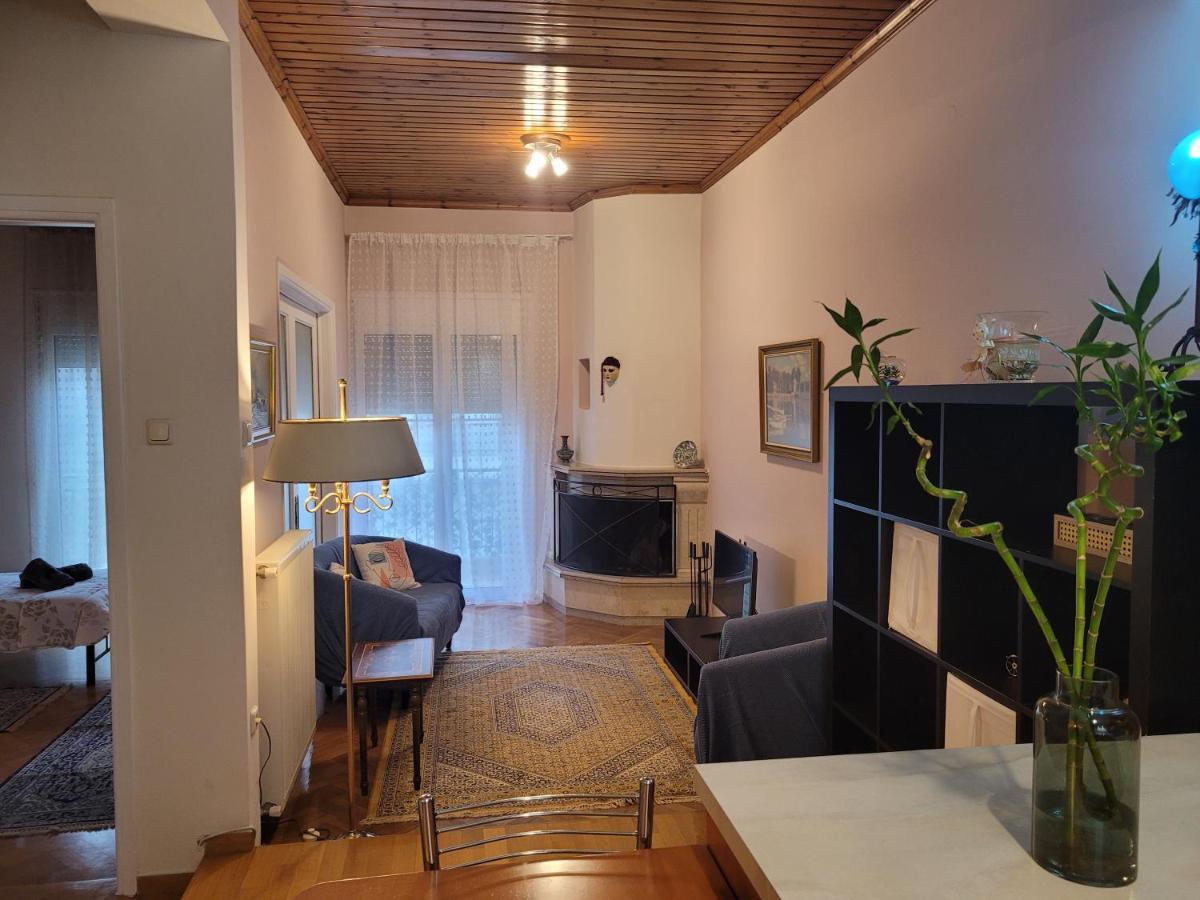 City Center Apartment Arta Bagian luar foto