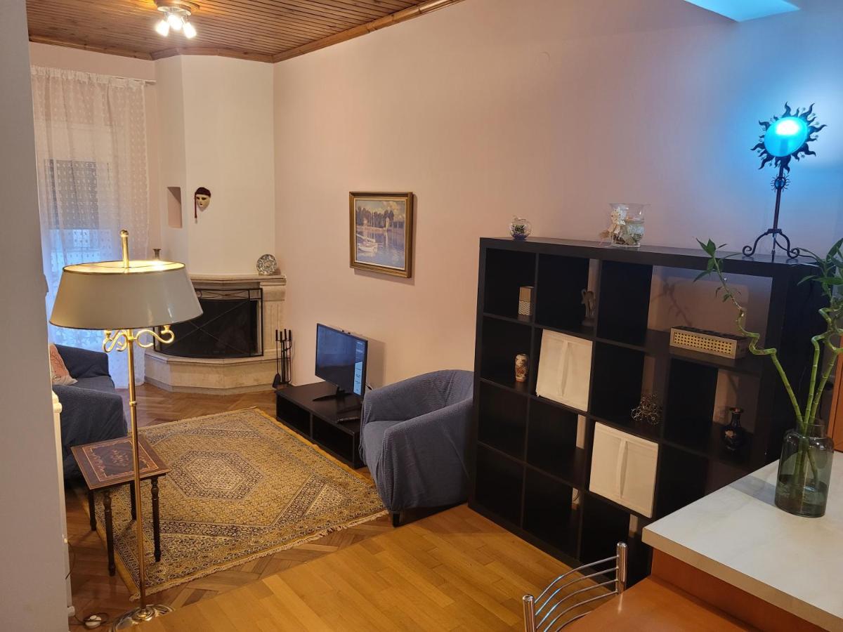 City Center Apartment Arta Bagian luar foto